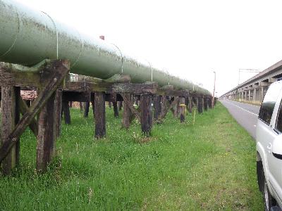 Pipe Trader Image